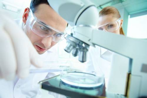 D6912d621faf4019a9b156da42078a8d