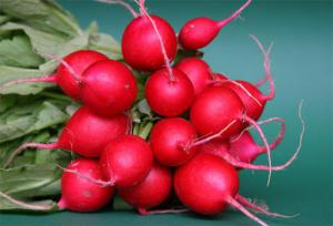 D91d208005f4e43cbf78ba5e48bc58ba