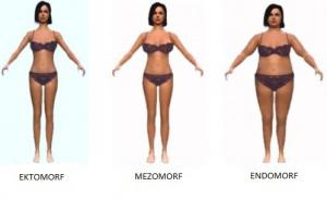 Ee9498ffc1a56cb34de819be79d06b40