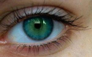 03bd55b08d7527e8013e36d65af259cc