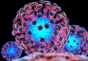 09ef91c098677b40498107ee308dba24