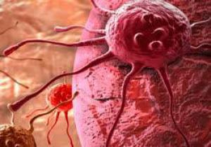 13c1615e3a2809b7f88d81468bfcfc06