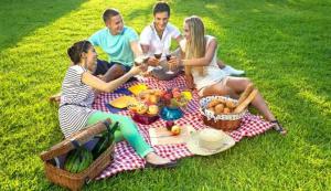 235e88bead4f4a6c88815ac03ad0bad7