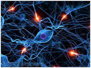 23b62394a4bdc411f82a0178d7f91bc9