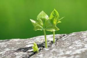 37450c710e6e37d9c6fbc60a504d4239