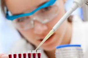 4263f049cd4a0e846b0efb98777f5b75