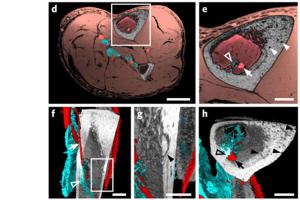 5e825d024546061900d3c8a2a98e8a48