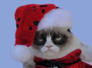 6daeb4c82713209aec614840aa28f041