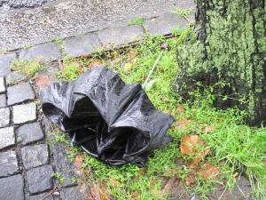 8a0cc7ff4887b5abf51e6ca1d25e49b2