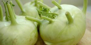 8b6e8792477f6e4dde124a37e9a82be9