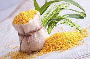 8f38b8d8fbc8cc8e0349c31192278d47