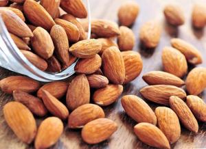 91c3a40eca9262e2f6e5297f19685c18