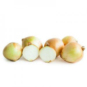 9a5ac4d6d228a17fdc4c585ca1e557aa