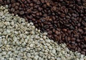 9f4e4f29776e1c5652b23aa2f4f8d625