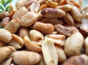 A5bbc5b537b22f4ef517cfd2dad78a83