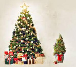 Aa500dc4e241b8ae233d5a4b34ecdf55