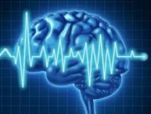 Cbcace3fce30a5db0068617f7dd7ee33