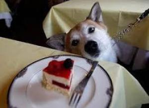 Ce1f132d44f86eae6fe4eae9ae338d79