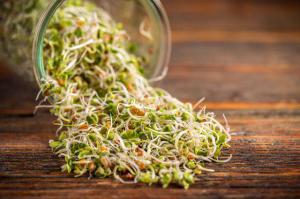 Eafe3055c585b68ee6fe948fa818cc03