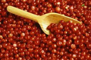 F3bd015d9708ab36ace5bc7e62f4e6dd