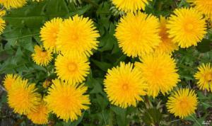 396e57c9804302c32a3ccbae4b141816