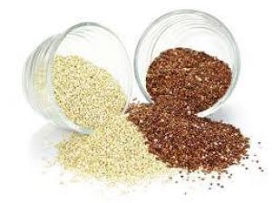 5582d5a618a553b48b0ecda90bc61540