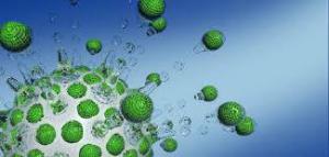 63b89416bcbce5b29a3802c235897397