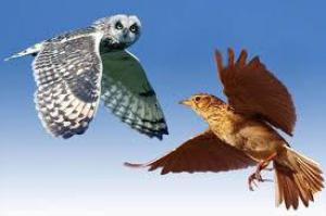 6416b79cd52b06268fbd36e230fc44b4