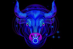 6aafbd62a7c0ecafda61b11c63dc1443