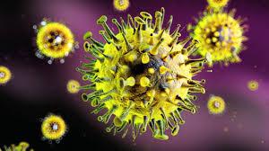 75e6f7f807300c5079e9b74819d47796