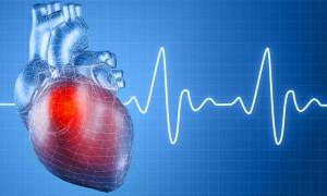 8fc60409494d5ed41b169ed7c6917927