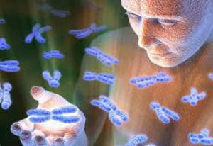 9048187cbc64389aa237464e55711691