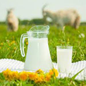 94997ff785fb9ef73a68effcb78fe19a