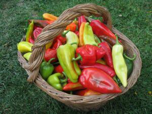 A7fa1e140cecf162f3480080abf2ab37