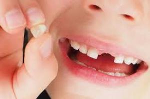 C8182a8f14bcea844383844e182c0517