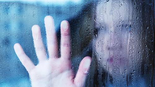 C9d86a6e9113171c44006717eb481758