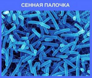 D24a3fa37d34278aebfeb5dd91e6a91a