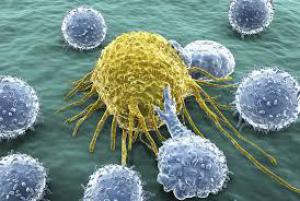 F27a98da3e5638df00a4f3891cb532a4