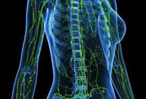 1d39b4bad40109c129830f2fd18a3444