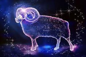 6454a618ab72b3e2ef02209f26ba2567