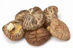 6eda6e0c3e89b3d6142ec6086e855285