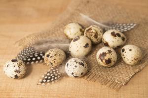 81401f150681a8713c8f9da94a7ace9e