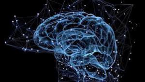 928ad4977c25702357cd9a2e31bbd603