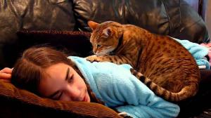 9869c32b6c7af6aedd33a79ec5a22585