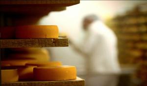 A01f0294bb4aa7f2fba6c77f92d588e2