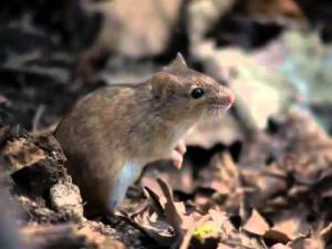 B8a069c680c06a037d8b3b7e57b2f4a9