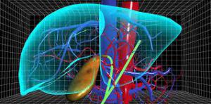 Bf37dd380f6c46e134ed8ecca6ab3782