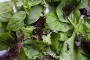 C7f21dad7c2649ab50b7c673d246b97f