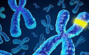 E0a35f14599402a0445b2f9862e8bacd