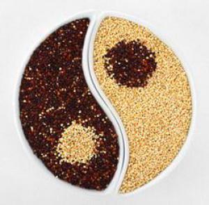 F08027d98e401b773c44428b499ff659